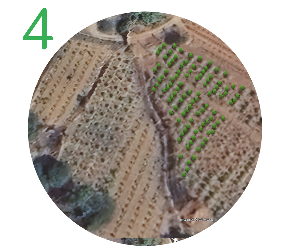Receive Tree Updates